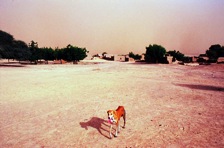 Mali - Gao