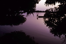 Niger - Niger River - Ayorou