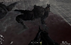 CoD4 experience