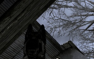 CoD4 experience