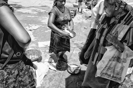 Sri-Lanka - Negombo fish market