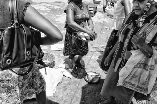 Sri-Lanka - Negombo fish market