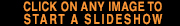 Click on any image to start a slideshow