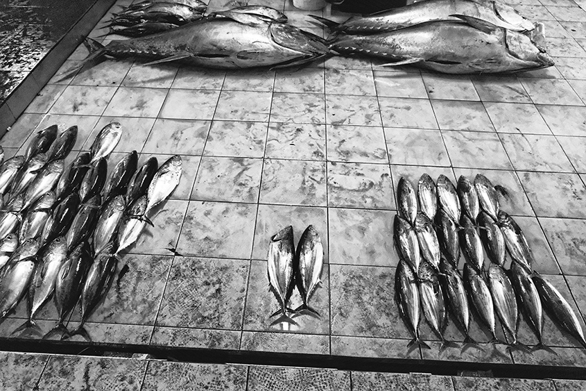 Male fish market